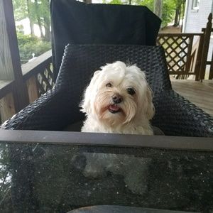 Meet your Posher, Christy